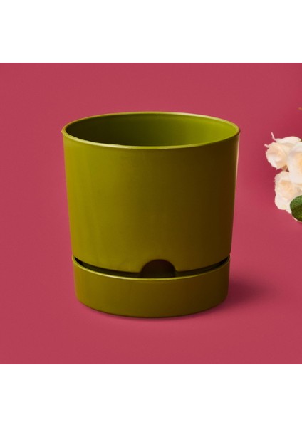 Begonya Saksı - Yeşil - 950 ml fiyatları