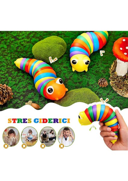 Sevimli Eğitici Stres Giderici Tırtıl Montessori Sök Tak