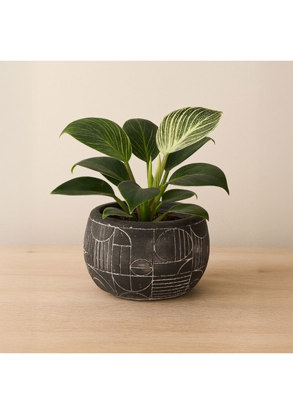 Boho Desenli Beton Saksı - Siyah - 14X12,5 cm