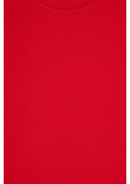 Erkek Çocuk Kırmızı Sweatshirt 50313831-VR171 fırsatları