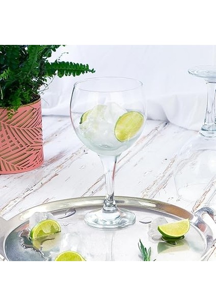 Misket 6'lı Büyük Şarap Kadehi, 645 cc indirimleri