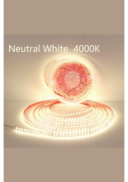 220 Volt Şerit LED Dim Edilebilir 10 cm De Bir Kesilebilir Natural Beyaz IP20 Şerit LED (10 Metre)