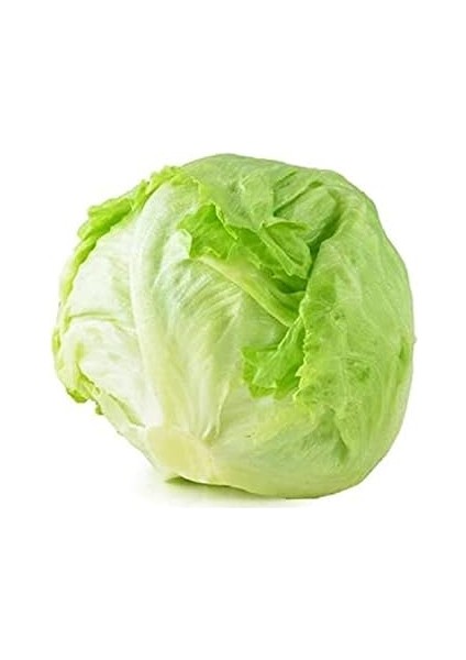 Tarım Doğal Göbek Marul Iceberg Great Lakes 1000 Adet Tohum modelleri