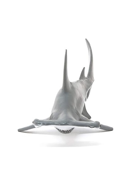 14835 Çekiçbaşlı Köpekbalığı modelleri