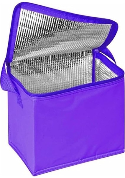 25 Lt Folyo Izole Plaj Termos Çanta (Mavi) modelleri