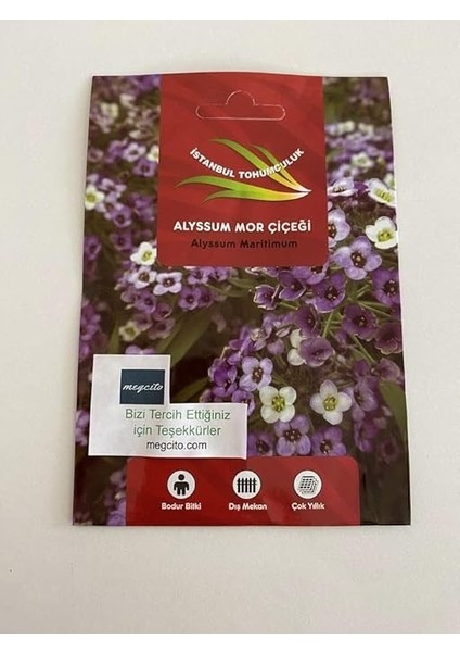 Alyssum (Çoklu Tohum) - 250 Tohum - Mor Renk modelleri