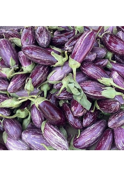 Tarım Ata Tohumu Yöresel Kayseri Yamula Patlıcanı Pijamalı Patlıcan 50 Adet Tohum fiyatları