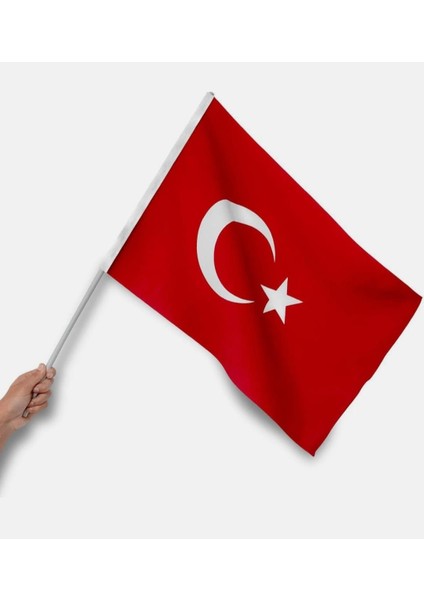 5 Kumaş Bayrak - 5 Ay Yıldızlı Balon - 5 Balon Çubuğu fiyatları