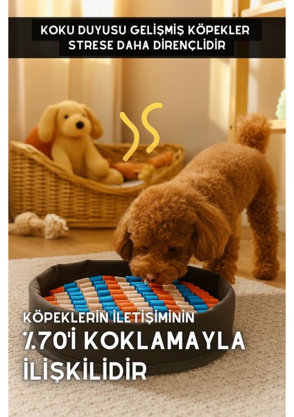 Bulyut (35 Cm) - Köpek Koku Eğitim Matı, Bulma, Koklama ve Yavaş Yeme Oyuncağı, Kaymaz Taban fiyatları