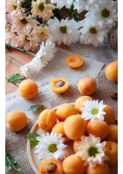 Gün Kurusu Kayısı Şurubu 500 ml fırsatları