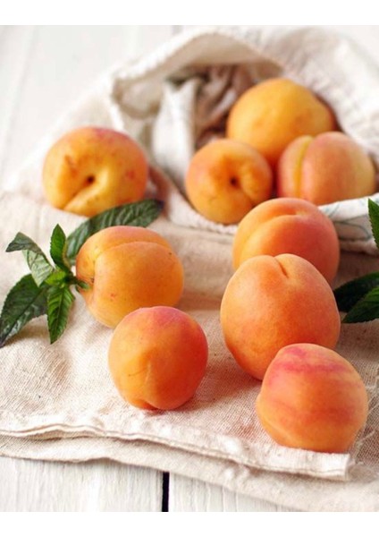 Gün Kurusu Kayısı Şurubu 500 ml modelleri