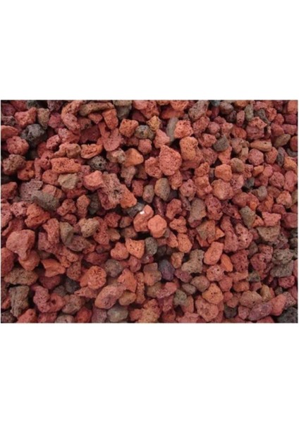 Akvaryum Taşı 3 kg 5-10 mm Akvaryum Pomzası Teraryum Taşı Kırmızı Pomza Lav Taşı Volkanik Cüruf