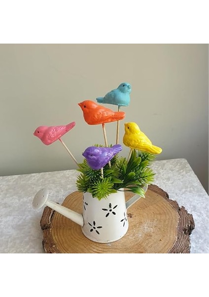 5 Li Rengarenk Kuşlu Saksı Dibi Süsü 6 * 3 Mavi,pembe,sarı,kırmızı,çok Renkli Mavi,pembe,sarı,kırmızı,çok Renkli 6 * 3 modelleri