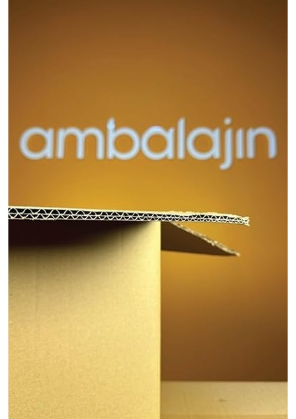 Sağlam Taşıma Kolisi Çift Oluklu Boş Koli, Karton Kutu, Çeyiz Kutusu, Taşınma Kolisi 10 Adet fiyatları