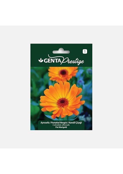 Prestige Aynısefa/portakal Nergisi/kandil Çiçeği Tohumu