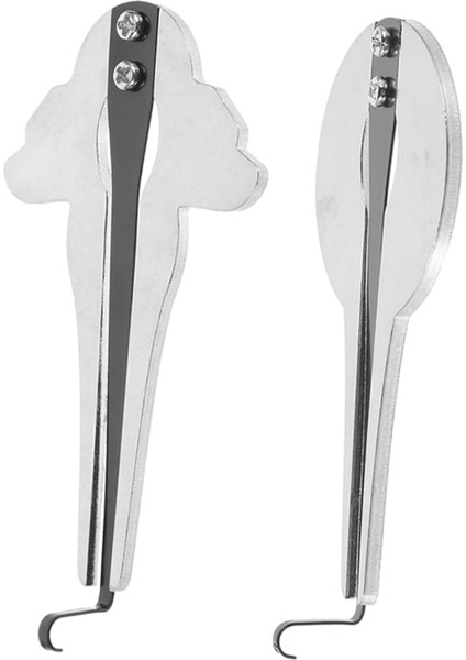 Metal Çene Arp: Rus Ağız Arp Enstrüman Taşınabilir Geleneksel Halk Müzik Enstrümanı Yeni Başlayanlar ve Müzik Severler Için