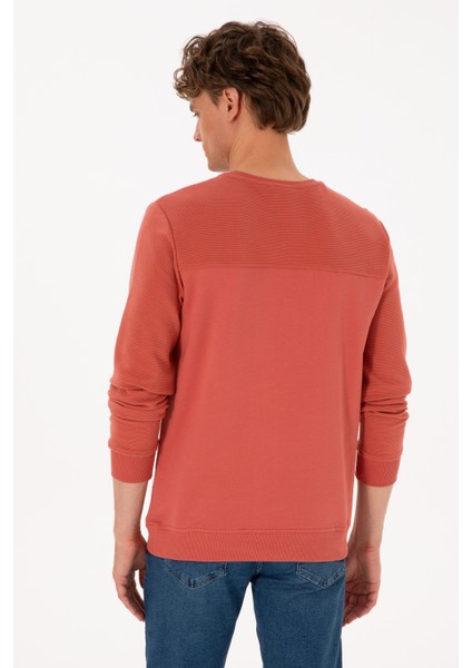 Erkek Gül Kurusu Sweatshirt 50315455-VR026 indirimleri