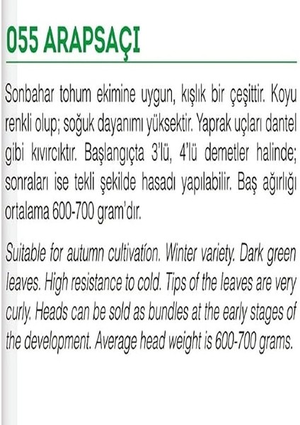 Tarım Ata Tohumu Yerli Marul Arapsaçı 1000 Adet Tohum fiyatları