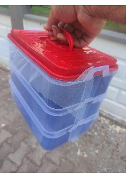 Organik 3 Katlı Başlangıç Solucan Gübresi Üretim Seti 1.000 Adet Kırmızı Kaliforniya Solucanı