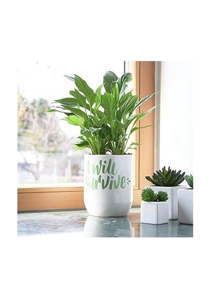 Posca Markör Kalem 3m Set 0.9-1.3 mm Keçe Uçlu (30'lu Set) indirimleri