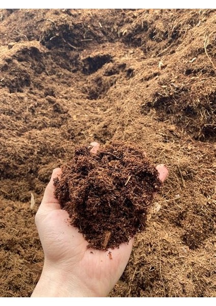 Çiçekçilik 60-65 Lt Sıkıştırılmış Hindistan Cevizi Torfu - 4-5 kg Blok Ithal Organik Cocopeat Kokopit fırsatları