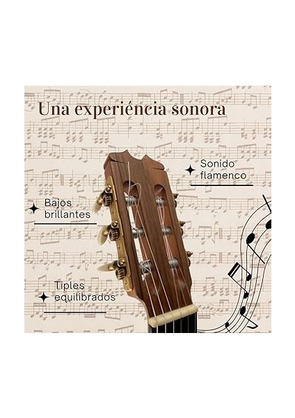 Flamenca Strıngs Strıns modelleri