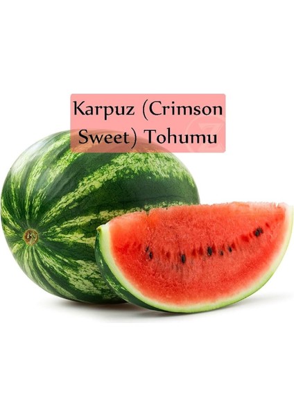 Organik Karpuz Tohumu 1 Paket (10GR=100+ Adet) Crimson Sweet Karpuz Tohumu fiyatları