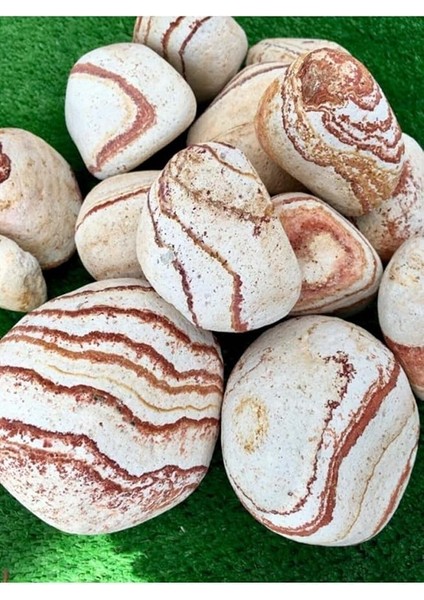 Sarı Renk Dolomit Taş 5 kg 6-10 cm Sarı Çizgili Bahçe Taşı Dekoratif Taş Peyzaj Taşı Saksı Dibi Taşı