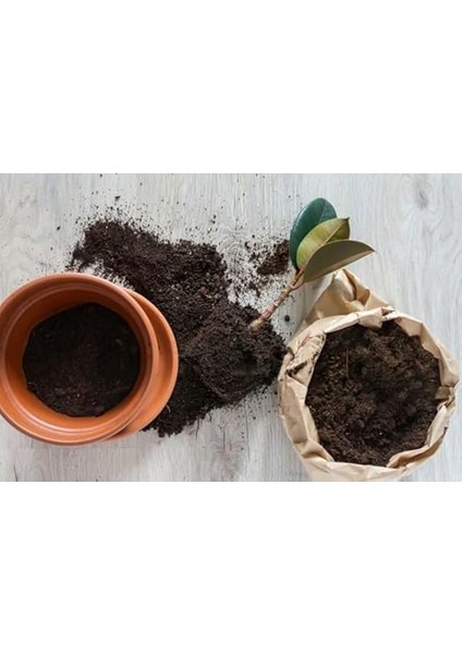 Botanik 20 Litre Ithal Kına Torf-Perlit Katkılı indirimleri