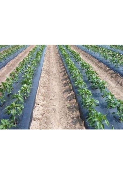 Sebze Naylonu 10 Metre Eni 120 cm Malç Naylonu Sebze Örtüsü Malç Örtüsü Siyah Domates Karpuz Naylonu