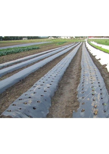 Sebze Naylonu 10 Metre Eni 120 cm Malç Naylonu Sebze Örtüsü Malç Örtüsü Siyah Domates Karpuz Naylonu fiyatları