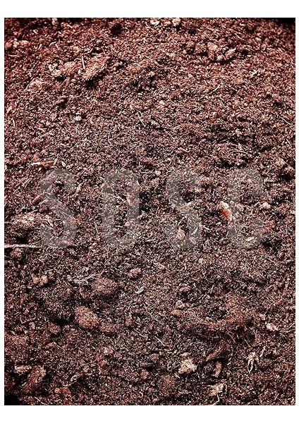 Sphagnum Bitki Yetiştirme Torfu - Böcek Sinek Yapmaz Premium Kalite 5 Lt fiyatları