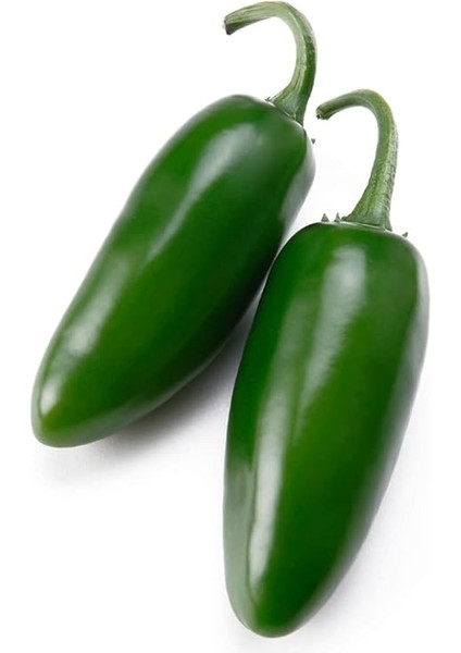 Jalapeno Biberi Tohumu 20+ Adet fırsatları