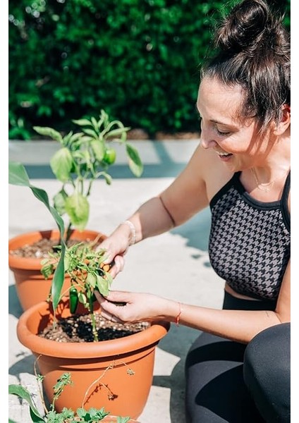 Jalapeno Biberi Tohumu 20+ Adet indirimleri