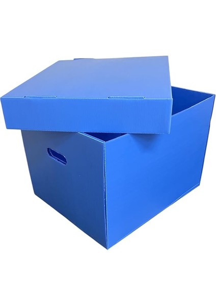 Plastik Arşiv Kutusu 41X35X30H Geniş 5 Klasör Kapasiteli Mavi Renkli Oluklu Plastik Arşiv ve Taşıma Kutusu Sağlam ve Suya Dayanıklı Corrugated Plastic Sheets Ofis Kutusu Office Box (10) fırsatları