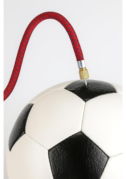 5'li Pompa Iğne Seti, Top Şişirme Ucu, Esnek Hortum Adaptörlü, Futbol Basketbol Voleybol Topu Pompa Iğneleri, Yatak Bot Balon Bisiklet Şişirme Aparatı, Dayanıklı Metal Iğne ve Plastik Uç modelleri