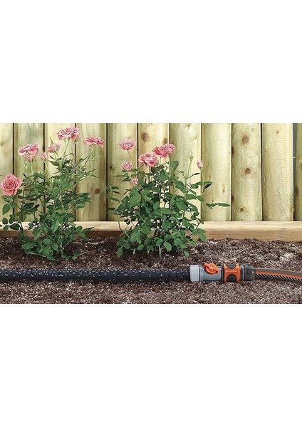 Hortum, Standart, 15 M fırsatları