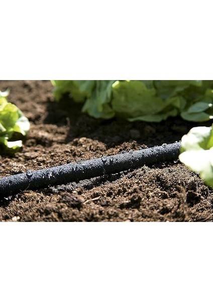 Hortum, Standart, 15 M indirimleri