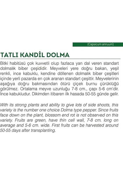 Tarım Ata Tohumu Tatlı Kandil Dolma Biberi 100 Adet Tohum fiyatları
