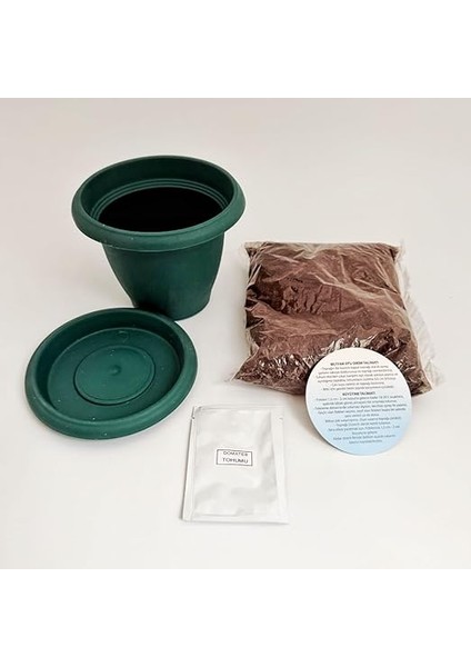 Bahçeci - Kendim Diktim Mini Saksıda Fidelik Dikim Seti - Domates modelleri