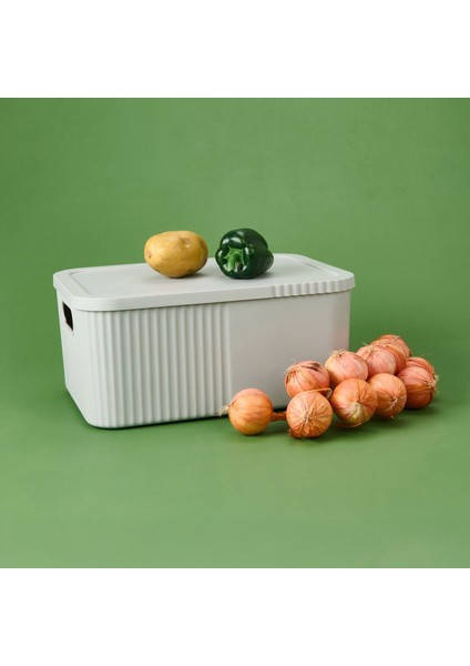 Kapaklı Büyük Boy Kutu - Gri - 12 Lt