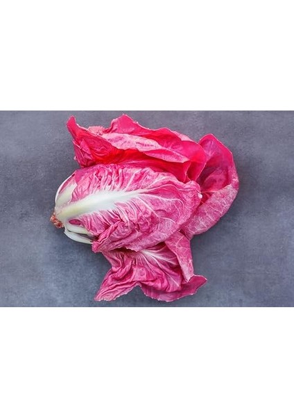 Adet Ithal Pembe Marul Tohumu fiyatları