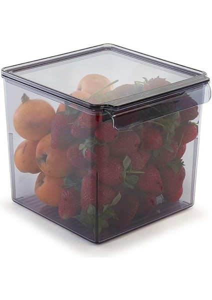 Kapaklı Banyo Mutfak Düzenleyici Şeffaf Siyah 165 * 178 * 160 mm M-E73-10-25 modelleri