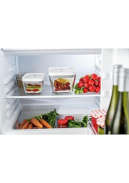 Fresh &amp; Save Vakum Aksesuarları Seti Cam Kutular Için, M/l / 2-Parça fırsatları