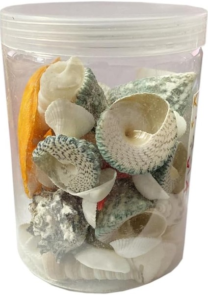 Akvaryum, Teraryum,saksı, Süsleme Için Karışık Dekoratif Doğal Deniz Kabukları, 250GR fiyatları