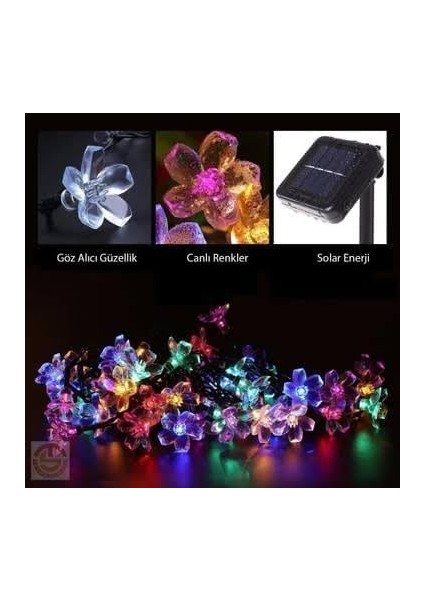 Solar Güneş Enerjili Rgb Gökkuşağı 30 LED Çiçek Zinciri Kiraz Çiçeği IP65 Su Geçirmez Solar Işık Zinciri Dış Mekan Bahçe Veranda Avlu Çardak Noel Ağacı Partiler (Rgb Gökkuşağı) fiyatları