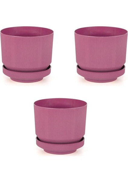 Plastik Tabaklı Saksı 3 Adet Fuşya, 1,7lt