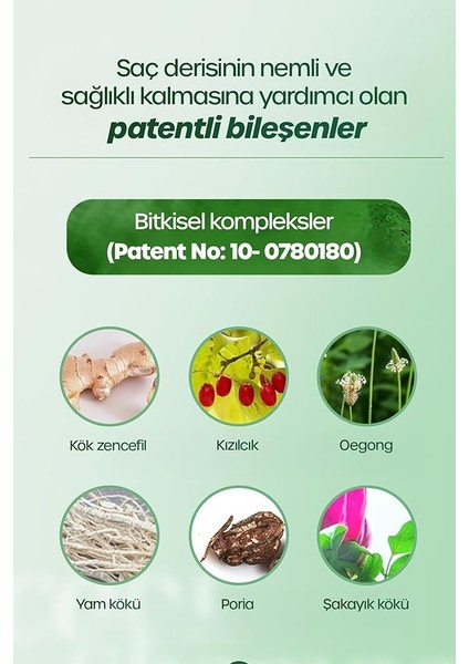 Banggıwon Dökülme Karşıtı Serin Yatıştırıcı Şampuan Cool Shampoo Anti Hair Loss 1000 ml modelleri