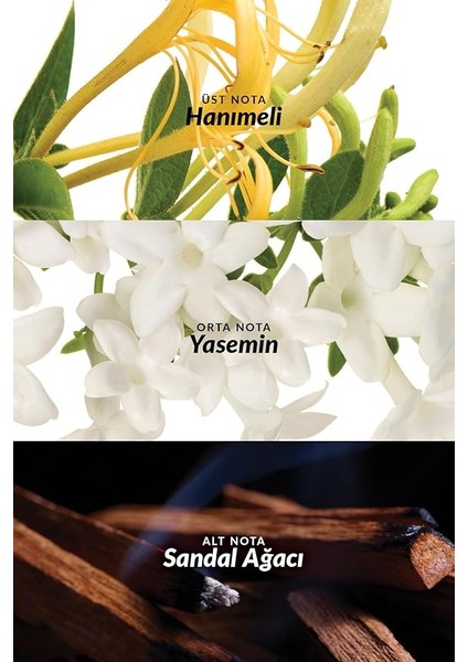 Little Black Dress Kadın Vücut Losyonu 125 Ml. fırsatları