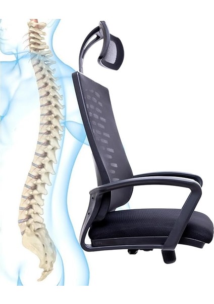 Evo Ev ve Ofis Çalışma Sandalyesi Çalışma Koltuğu, Çift Kol Mekanizmalı Bilgisayar Sandalyesi fırsatları